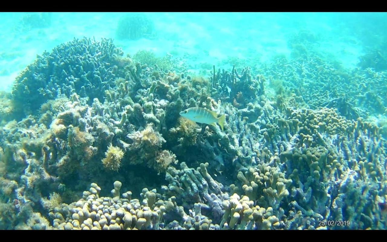 Le Val De Lys-Piscine Privee Villa วิเยอซาบิตอง ภายนอก รูปภาพ