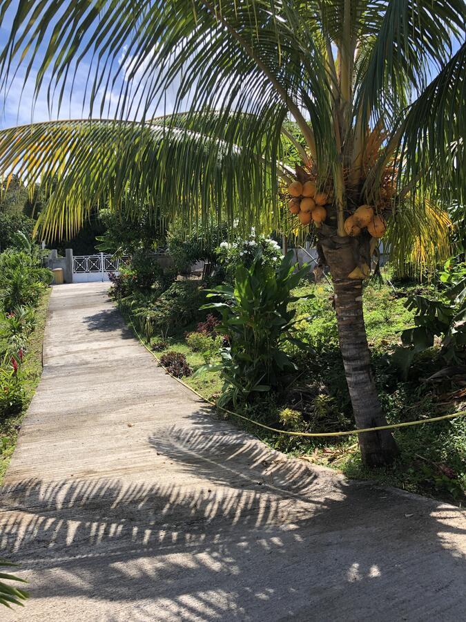 Le Val De Lys-Piscine Privee Villa วิเยอซาบิตอง ภายนอก รูปภาพ